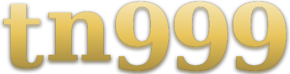tn999 logo